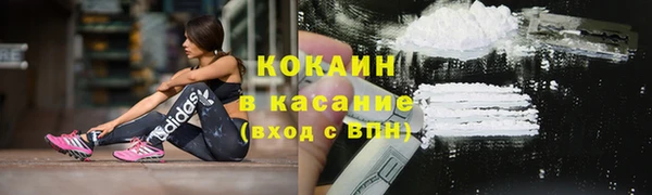 крисы Арсеньев