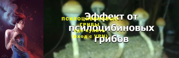 крисы Арсеньев