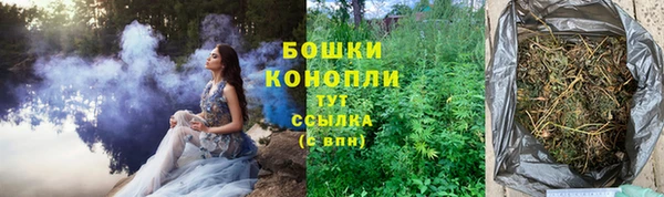 амф Аркадак