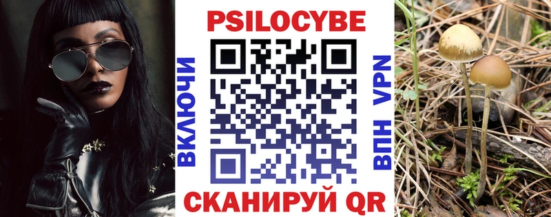 маркетплейс какой сайт  где найти наркотики  Аша  Псилоцибиновые грибы Magic Shrooms 